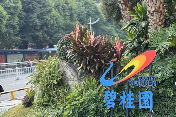 碧桂园上半年营收725.7亿元,净钞票保握为正